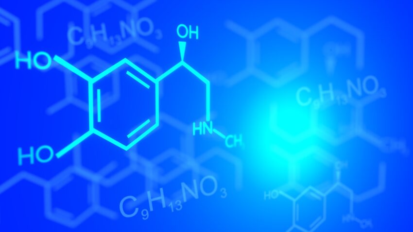 DNA- RNA